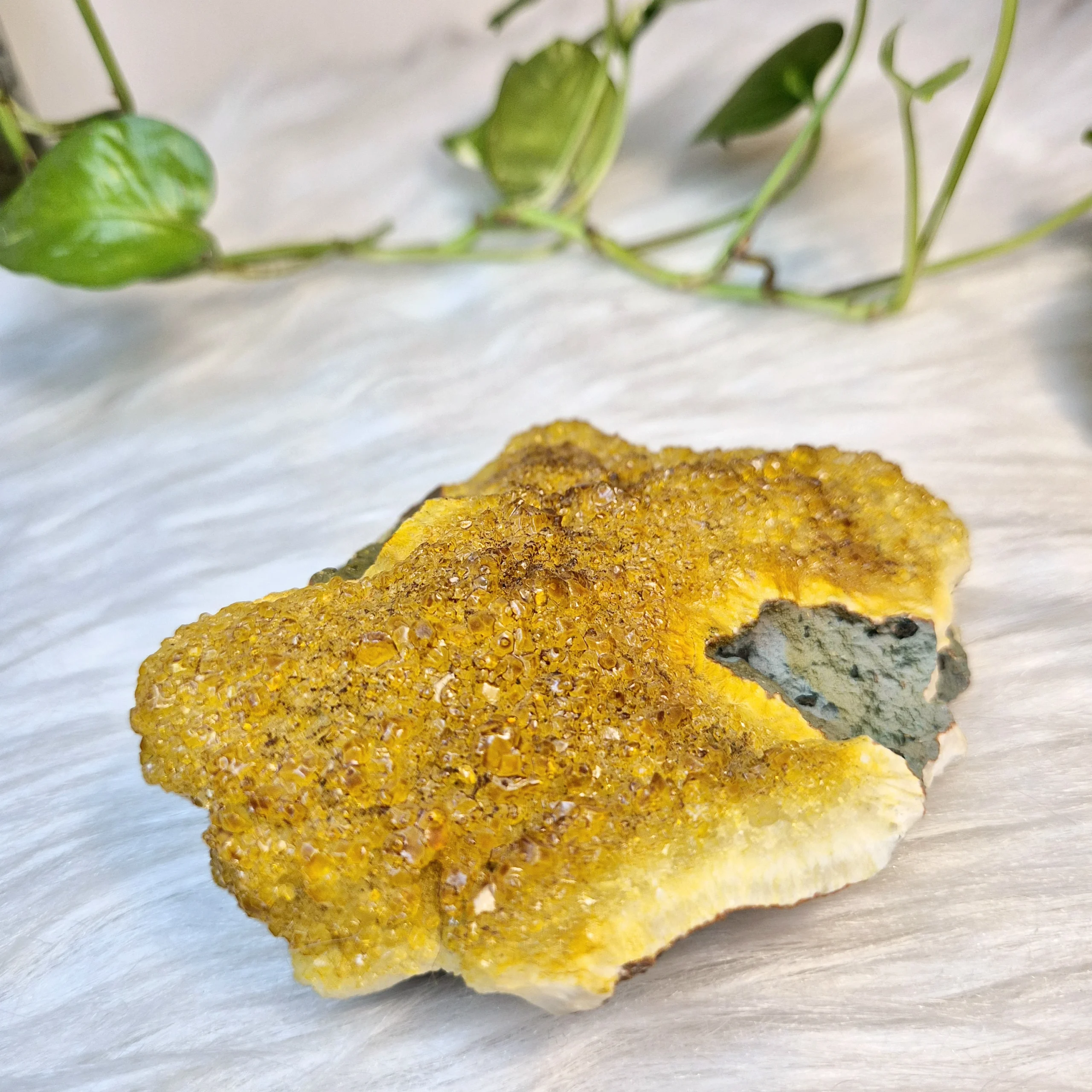 Inner Wisdom Light 47 Light-Coded Citrine Geode