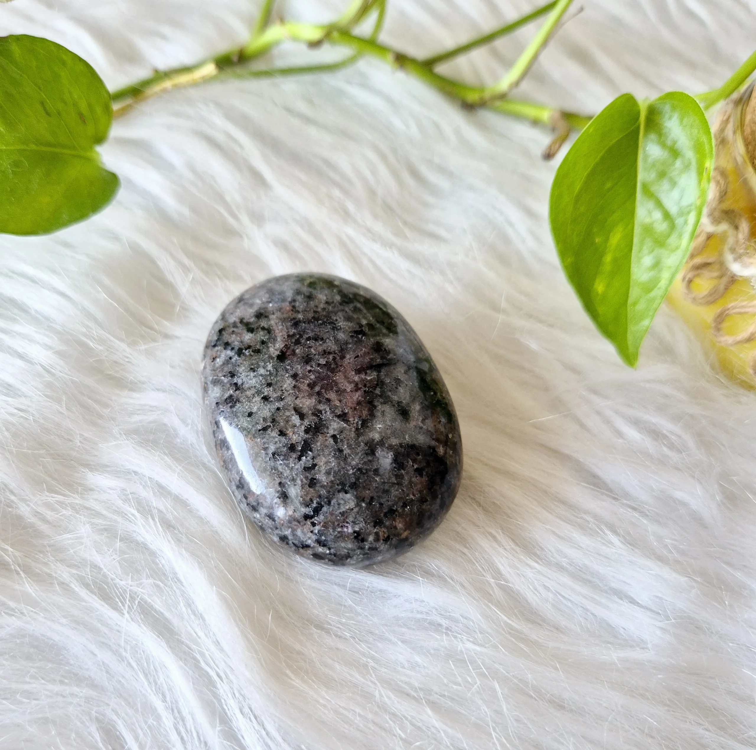 Inner Wisdom Light 43 Light Coded Kambaba Jasper Palm Stone