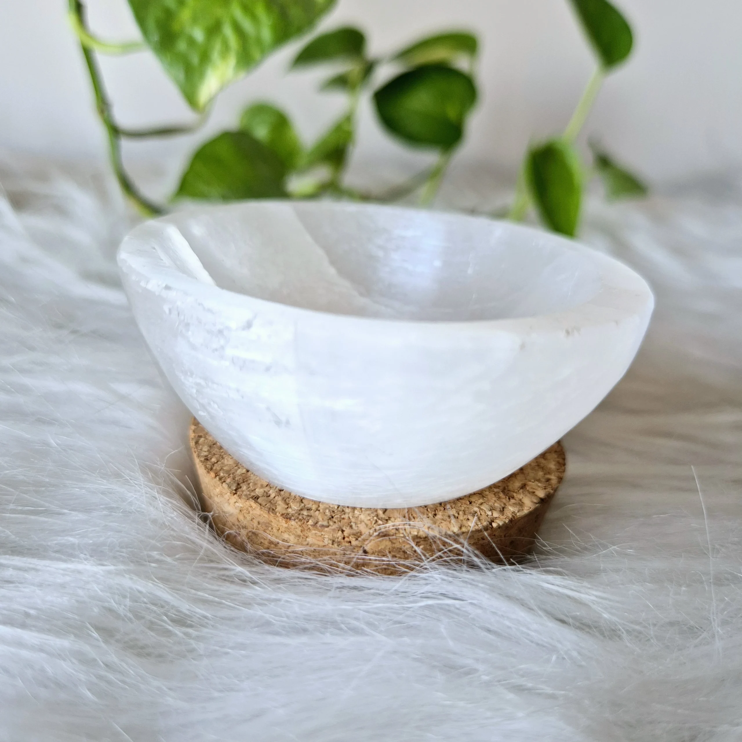 Inner Wisdom Light 46 Energized Selenite Bowl (2 inch base)